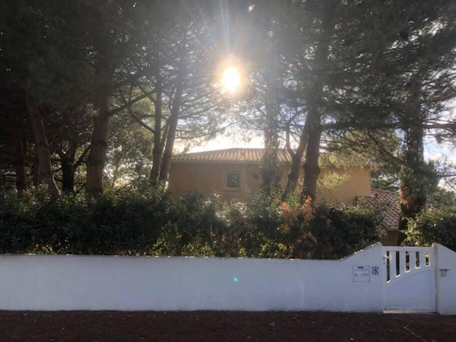 Villa Arethuse - Pyla Sur Mer Εξωτερικό φωτογραφία